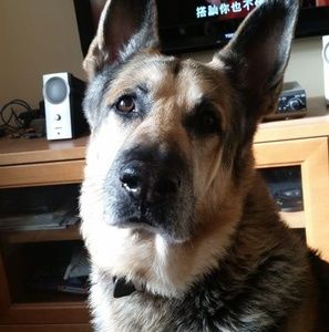 Meet your Posher, Raymond